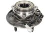 SPIDAN 72456 Wheel Bearing Kit